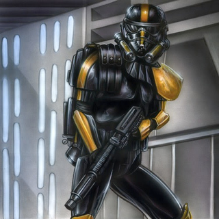 Illustration for article titled The 13 Most Ridiculous Types Of Stormtroopers
